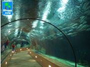 Oceanográfico. Valencia, Comunidad Valenciana